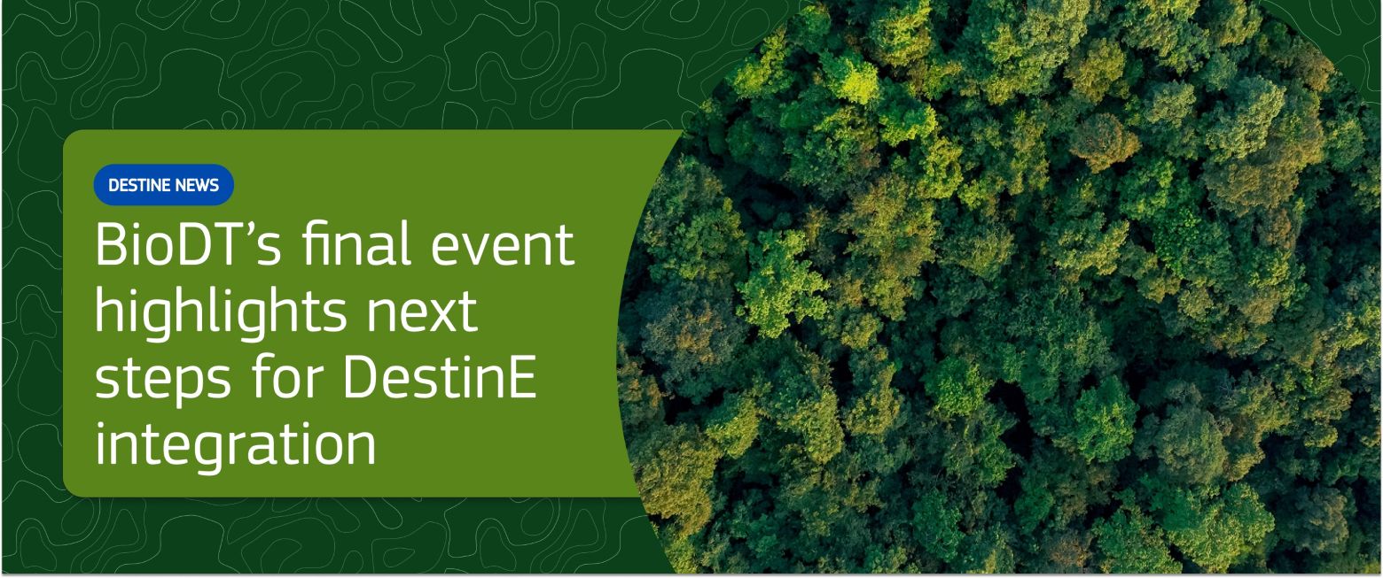 banner for the news with an image of a forest